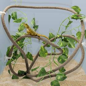 Coolrunner 744759467850 8ft Reptile Vines And Flexible Leaves With Suction Cups Jungl