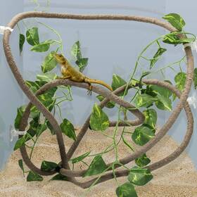 8699lyjh Coolrunner 8ft Reptile Vines And Flexible Leaves With Suction Cups Jungle
