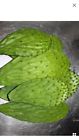 Cp-2f Mad4rads Bulk Cactus Pads Cp-2f Mad4rads Bulk Cactus Pads