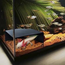 Cplike 422790442135 Aquarium Corner Cave Hide Axolotl Cichlid Fish Tank Accessories