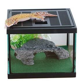 Crapelles 603765963629 Glass Lizard Tank Spider Box Kit 7.8x7.8x5.9ftft Tarantula Feeder Insects Beetl