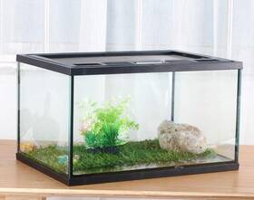 B08lprd8dq Crapells Crapelles Frogs Glass Terrarium Feeding Kit 15.7x11x9 Inch Reptiles Amphibian Water