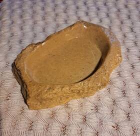 Critter Oasis 695990723901 Reptile Water - Food Dish Bowl Vivarium Terrarium Herpetarium