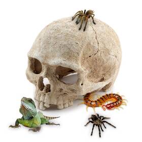 11275502 Crmada Aquarium Resin Skull For Decoration Reptile House Cave Family Daily