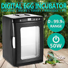 Cxunb003 Vevor Tonkopf Reptile Egg