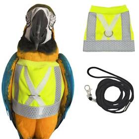 Q122402 Cxyyxf Pet Parrot Bird Harness And Leash Adjustable Training Design Anti-bite