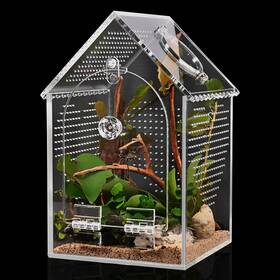 Zzl-01 Cycodo Acrylic Bug Habitat With Feeding Port For Tarantulas Mantis Crabs Snails