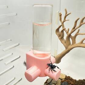 Wsq-1789 Daerky Jumping Spider Water Dispenser Magnetic Hanging Feeder Pink 15ml