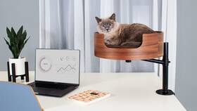 Desk Nest 870354000205 Cat Bed- The Purrfect Bed For Your Walnut