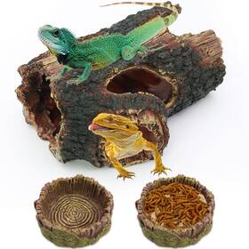 Fl-2023-0817 Dexspoeny 3pcs Reptile Hide Cave Small Lizard Food Water Bearded Dragon Bowls A