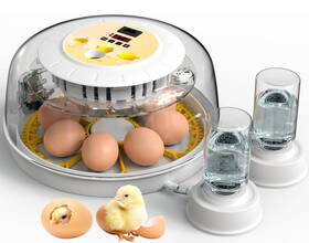 Tc-7840a Dezhxhe 8 Egg Incubators For Hatching Eggs Incubator Chicken 360 Degree Vie
