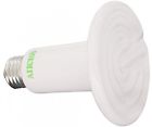 Dg150205 Aiicioo 110v 150 Watt 717080639593