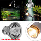 Diconna Pet Heating Lamp Sun Light Bulb Uva Uvb Full