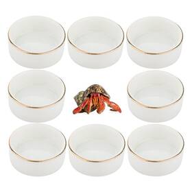Dqitj 740379830524 8 Pcs Hermit Crab Ceramic Water Bowl Tarantula Mini Food Dish For Cra