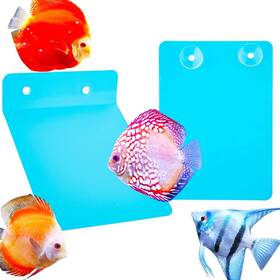 Bsq393 Dqitj 2 Pack Angelfish Discus Breeding Slate Fish Spawning