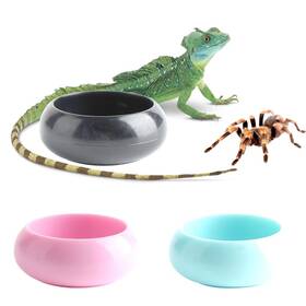 Rfbq539 Dqitj 3 Pcs Worm Dish Reptile Food Bowl Tarantula Water For Spider G