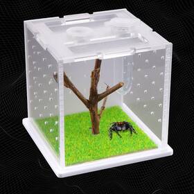 Sbb356 Dqitj Spider Acrylic Breeding Box Tarantula Transparent Terrarium