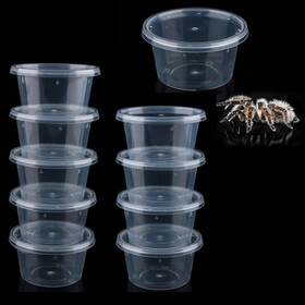 Sbq344 Dqitj 10 Pcs Spider Terrariums Breeding Box Acrylic Feeding Scorpion Centipede