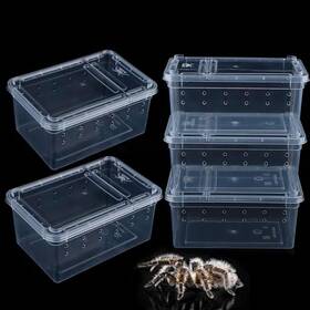 Sbq345 Dqitj 5 Pcs Spider Small Terrariums Breeding Box Transparent Hatching White