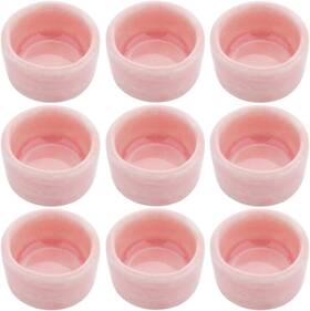 Sbq402 Dqitj 9 Pcs Tarantula Water Bowl Ceramic Mini Dish For Spider Hermit Pink