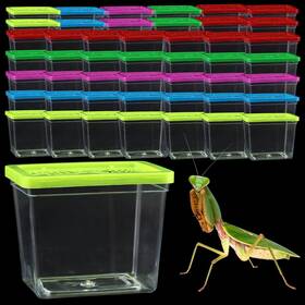 Srb-q584 Dqitj 48 Pack Small Plastic Reptile Carrier Tarantula Enclosure Breeding Box Hatchi