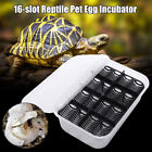 Dtd916729 Slot Reptile Eggs Incubator Tray Lizard Gecko Snake 6957442933301