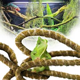 Duspro 686514695071 10ft Reptile Vines For Climbing Bendable Branch Natural Mo Duspro 686514695071 10ft Reptile Vines For Climbing Bendable Branch Natural Mo