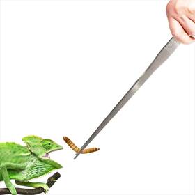 Tw002-s Dxobay 18.9 Inch Heavy Duty Extra Long Tweezers For Salt And Fresh Water Straight 18/