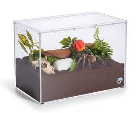 Ectotherm 850072167053 Terrestrial Terrarium - Tarantula Enclosure For Spider Gecko Frog S