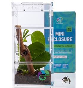 Ectotherm 860010624883 Jumping Spider Enclosure Insect Terrarium Bug Cage Jumpi