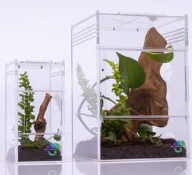 Ectotherm 860010624890 Jumping Spider Enclosure Habitat Terrarium Kit Jumpi