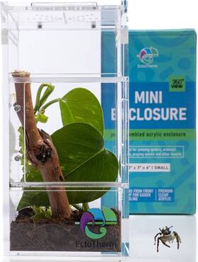 Jenc2024 Ectotherm Jumping Spider Enclosure Praying Mantis Habitat Insect Small Transparent