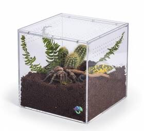 Tenc633 Ectotherm Terrestrial Terrarium - Tarantula Enclosure For Spider Gecko Frog Snail And Sma
