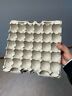 Egg Crates Cartons Flats For Feeders Crickets Roaches Reptiles Crafts