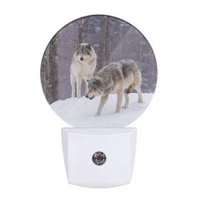 Ekobla 774696331525 Wolf Plug-in Night Light Howling In Forest Wildlife Led Nightlig