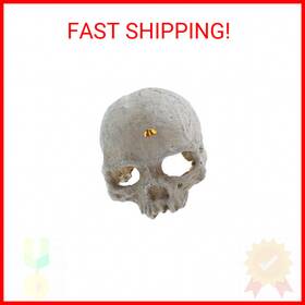 Emours 696543967544 Reptile Hideout Skull Vivarium Aquarium Fish Tank Resin Ornament Cave Dec
