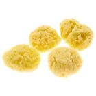 Eps10282 Evergreen Pet Supplies 4-pack 859717006351 Eps10282 Evergreen Pet Supplies 4-pack 859717006351