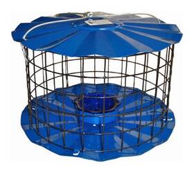 Bbf1 Erva Starling-proof Barrier Guard Bluebird Feeder With Glass Mealworm Cup - P