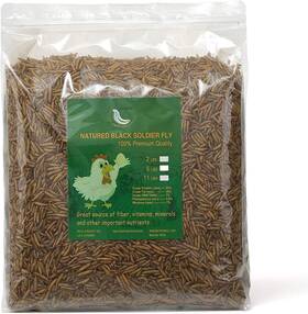 584702 Euchirus Black Soldier Fly Larvae For Chickens 100% Natural Premium Quality Non-gmo 2lb 584702 Euchirus Black Soldier Fly Larvae For Chickens 100% Natural Premium Quality Non-gmo 2lb