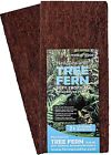 Ex-0100 Fernwood Tree Fern Panels 799439712232