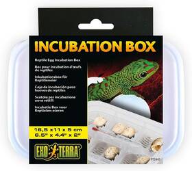Exo Terra 015561224437 Incubation Box