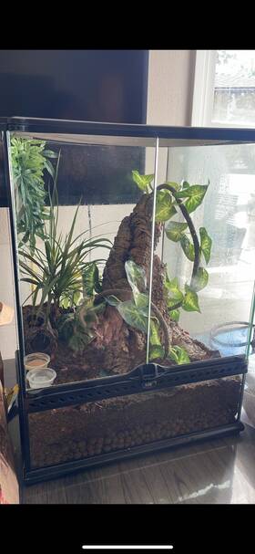 34f6 Exo Terra 45 Gallon Reptile Tall Glass Terrarium 24 Inch X 18 Tank
