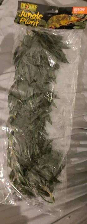 Pt-3051 Exo Terra New Jungle Plant Ruscus Silk Large