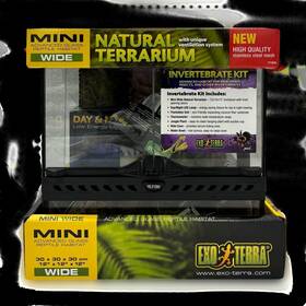 Pt2600p6 Exo Terra Invertebrate Kit - 12 X Inch