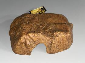 Pt2853 Exo Terra Reptile Cave Large - Natural Hide Shelter New