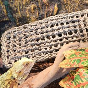 Hammock-30 Exorepti 30 Bearded Dragon Hammock Lizard Tank Accessories Reptile Lounger Amphibian Habi