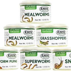 Exotic Nutrition 810012541299 Canned Insect Assortment 6 Pack - Healthy High Protein Treat For Hedgehogs