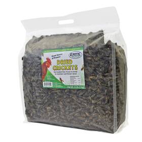 En3190 Exotic Nutrition Dried Crickets 2.2 Lb. - High Protein Insect Treat Chickens Wild Birds