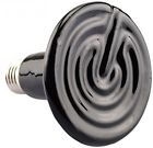 F-n4265-3h59 Pecute Heat Lamp Reptile 701599675913