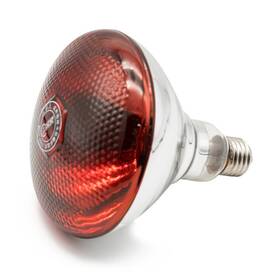 Fengrun 799460571686 Infrared Bulb Red Hard Explosion-proof Glass Heating Lamp For Chicke